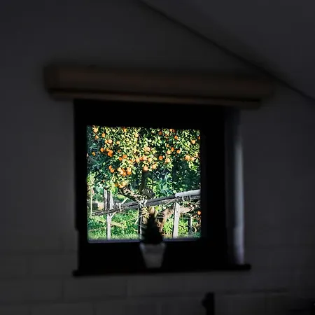 Primeiro Quartel - 4 Apartment Peso da Regua