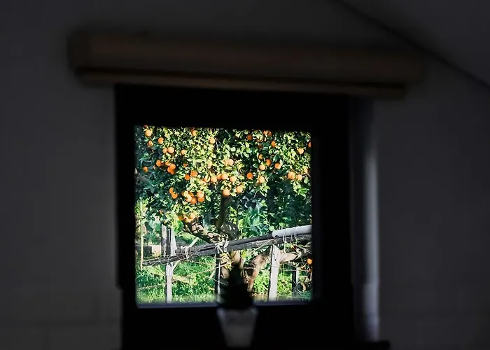 Primeiro Quartel - 4 Apartamento Peso da Régua